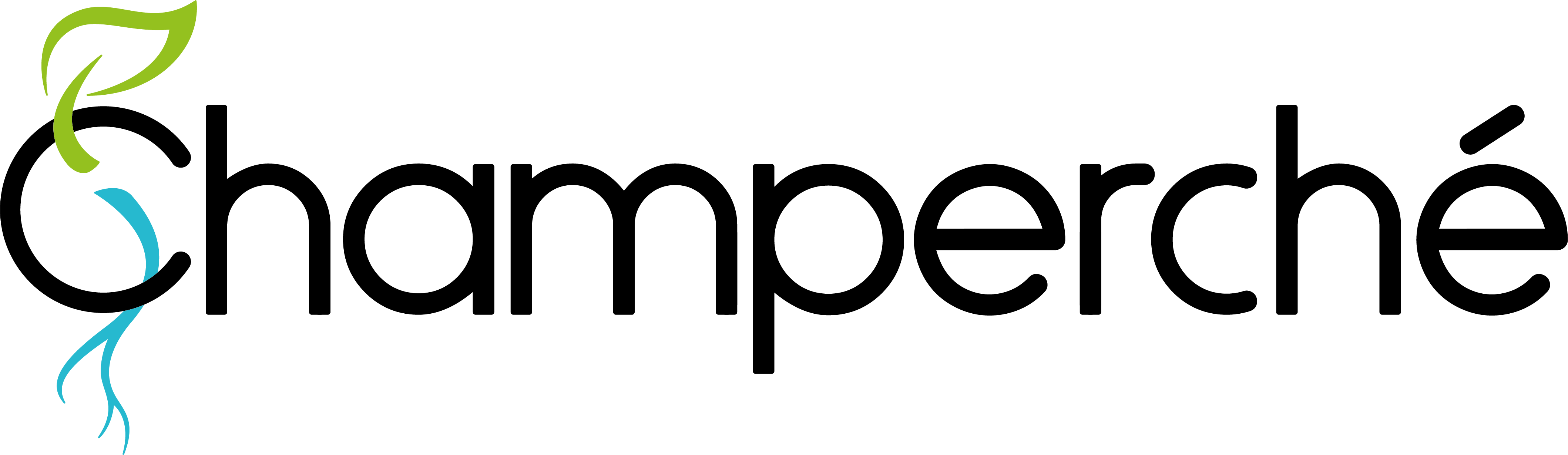 Logo Champerche